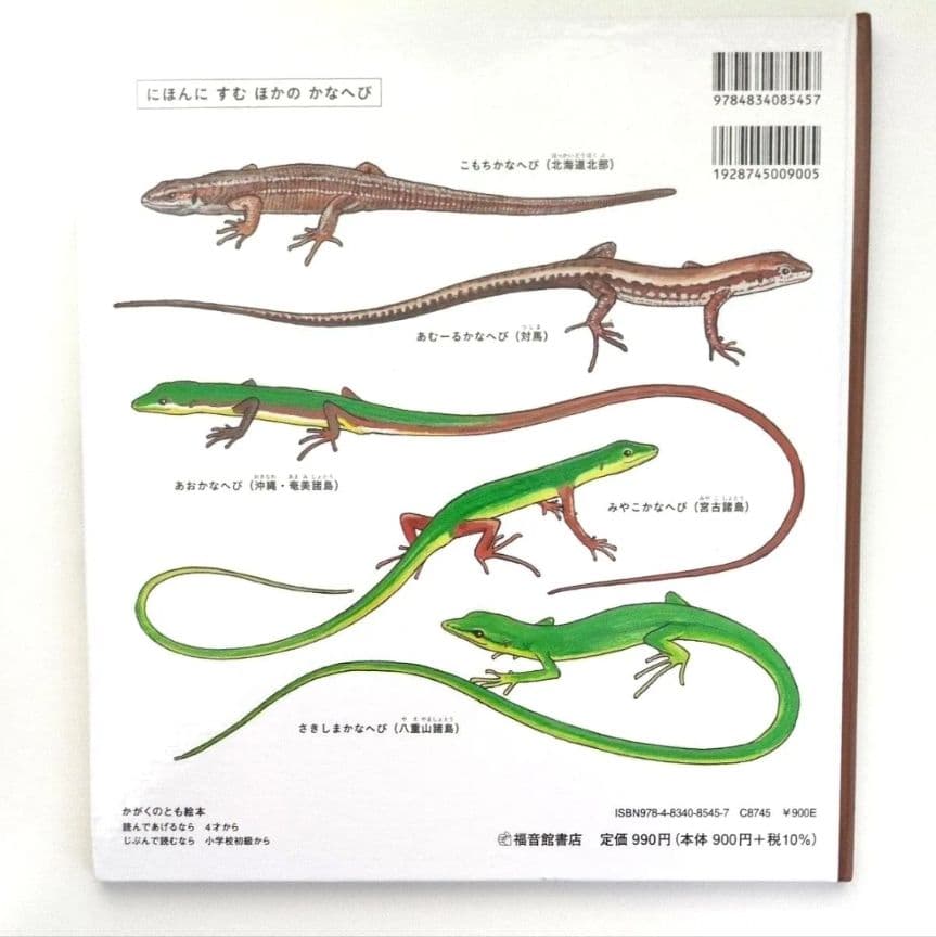 【かがくのとも絵本】かなへび 竹中践　石森愛彦　福音館書店　よみきかせえほん