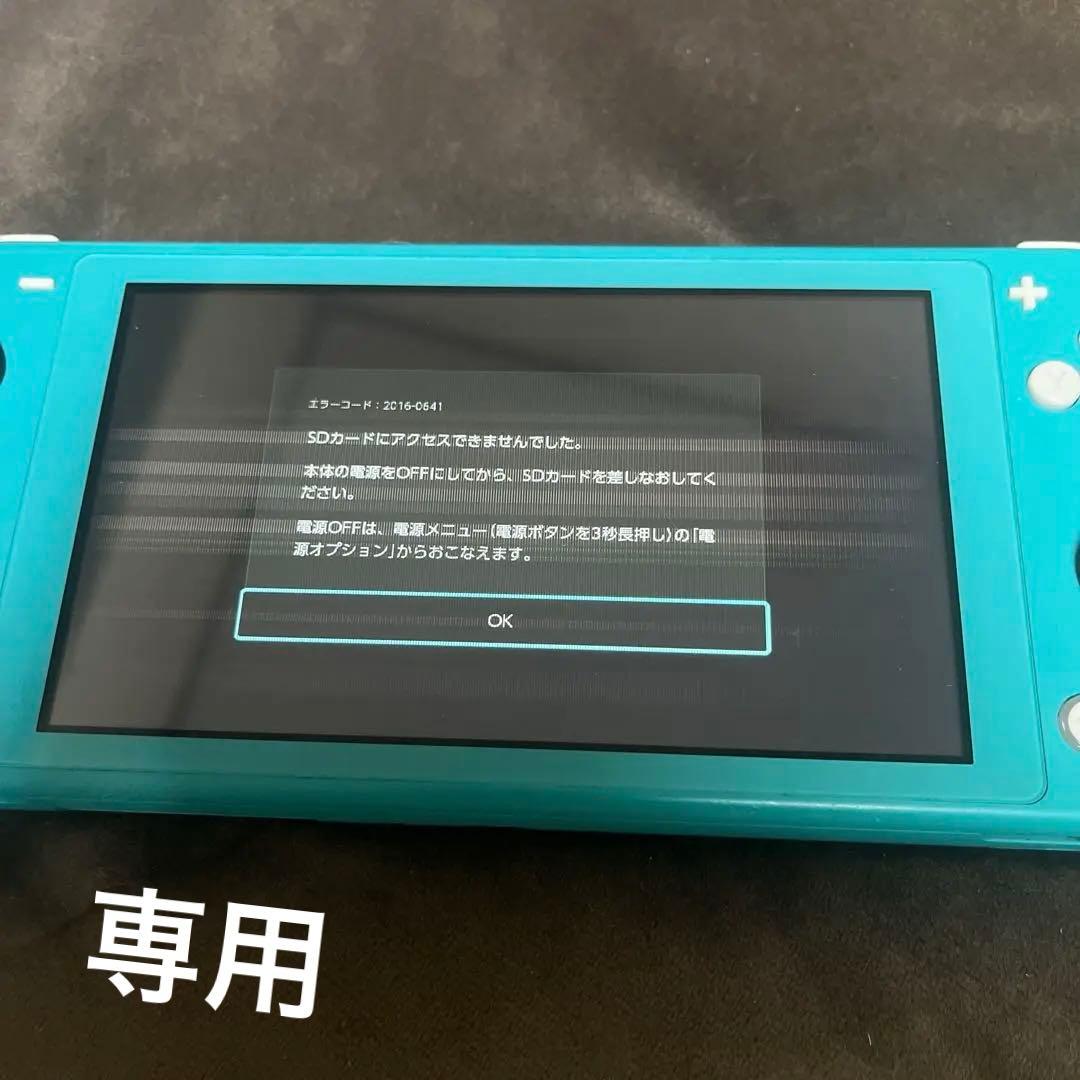 Nintendo Switch Lite ターコイズ　専用