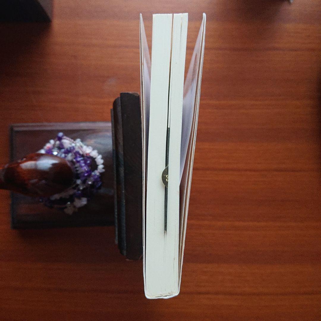 大学入試マグナム 精説英文読解 内容からのアプローチ#東大#京大#医学部