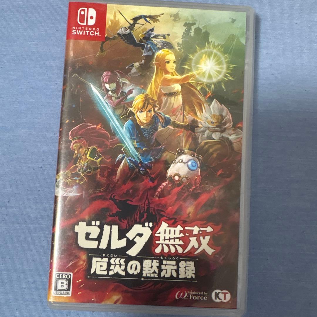 Mocaさん専用　ゼルダ無双 厄災の黙示録