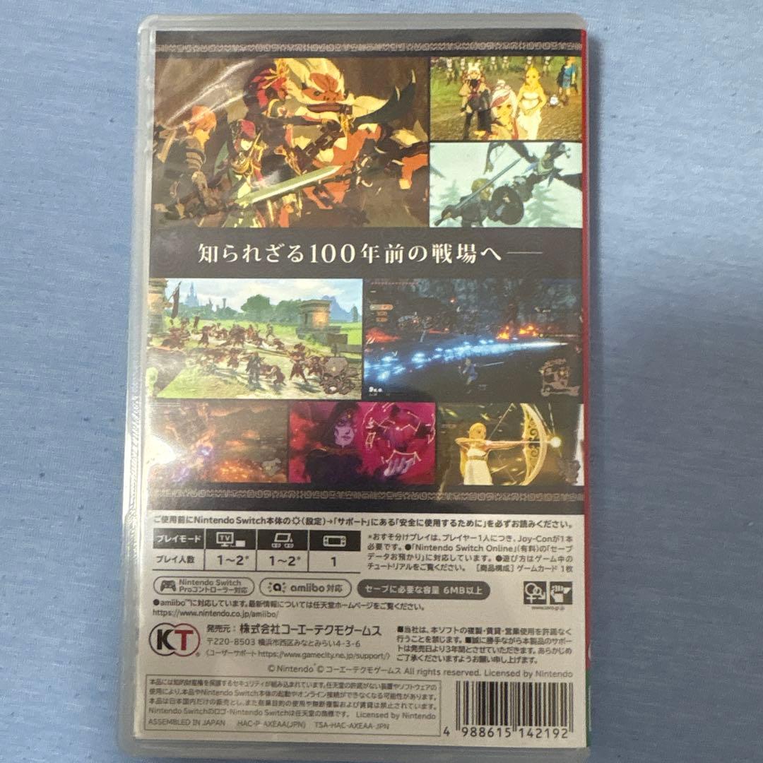Mocaさん専用　ゼルダ無双 厄災の黙示録