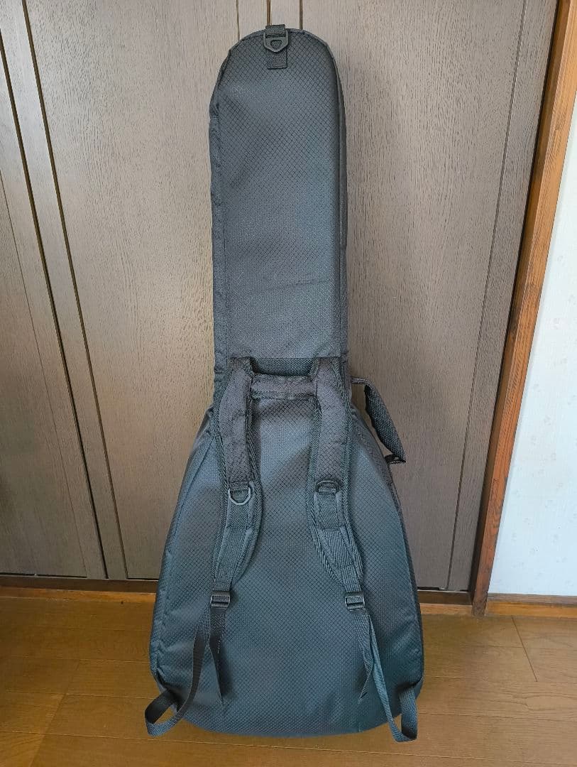 fender fsr malibu player エレアコ