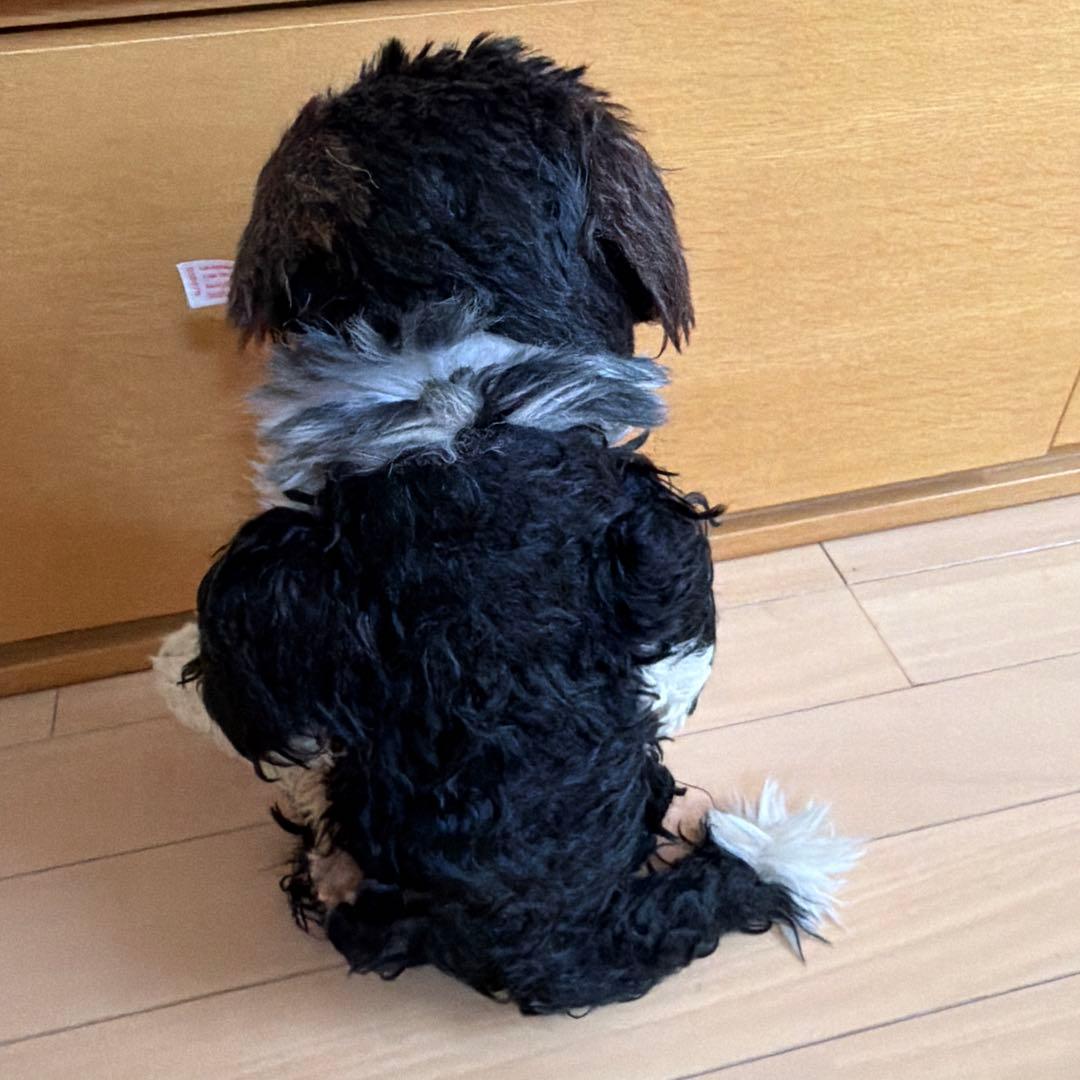 シュタイフ　犬　ぬいぐるみ　オーストラリアンシェパード