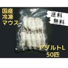 国産 冷凍マウスアダルト L 50匹 (送料無料一部地域発送不可)