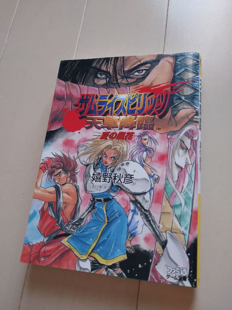 サムライスピリッツ天草降臨 小説