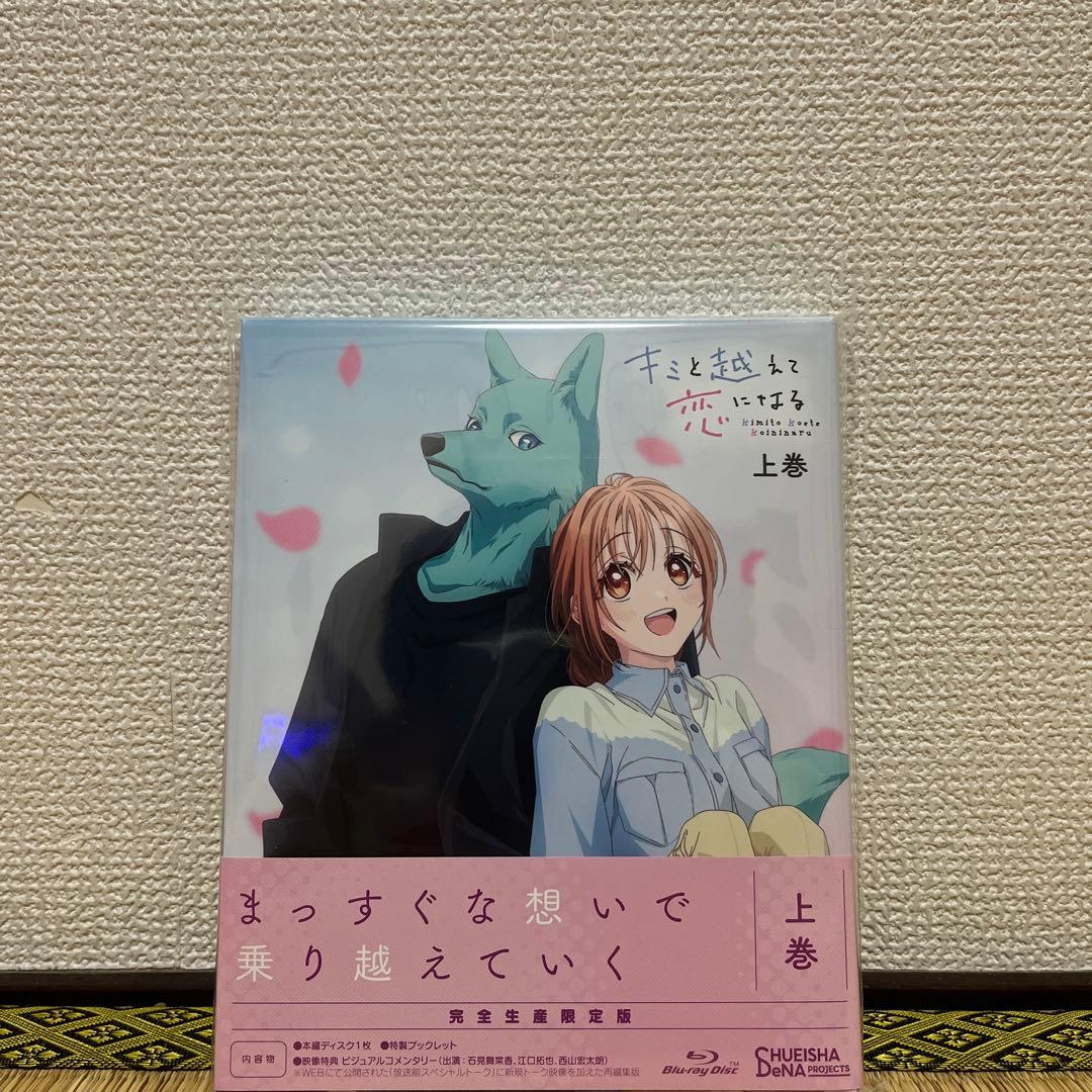 キミと越えて恋になる 上巻〈完全生産限定版〉