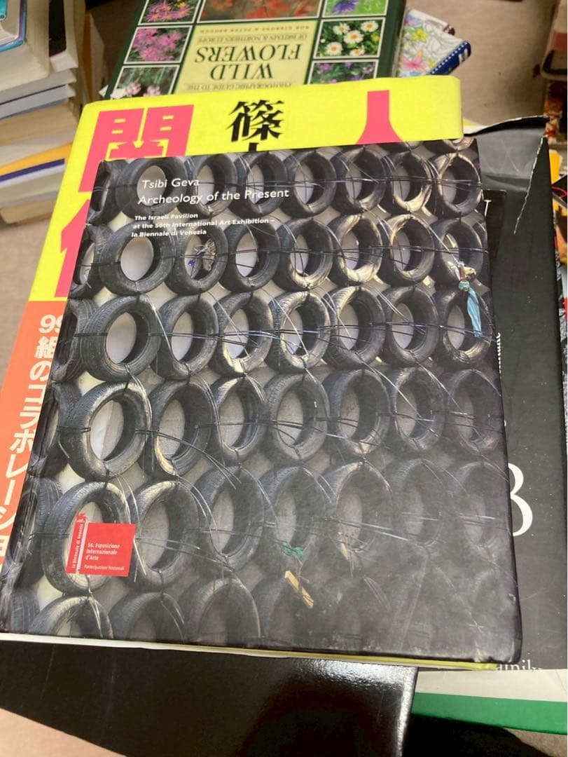 tsibi geva 図録　　archeology of present