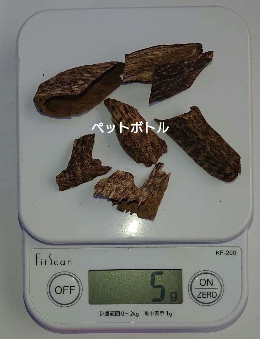 カンボジア産 奇形種