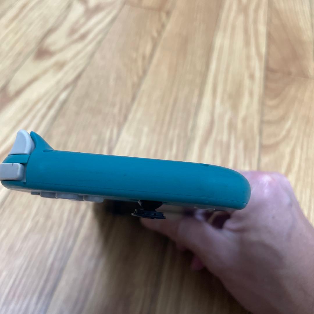 ジャンク　本体のみ動作確認済みNintendo Switch Lite