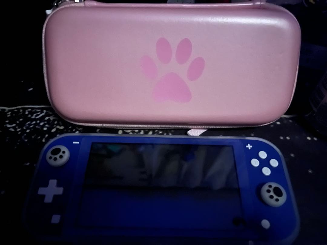 NintendoSwitchライト ブルー カバーケースとケース付き