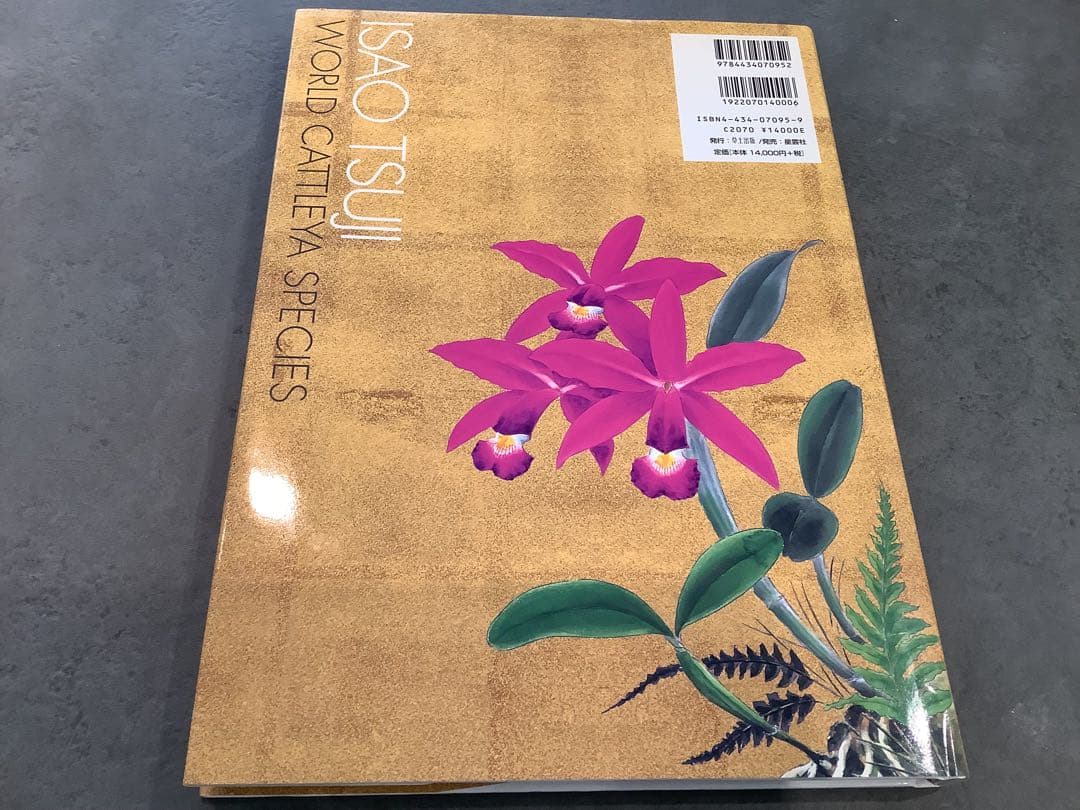 原種　カトレアの世界WORLD CATTLEYA SPECIES