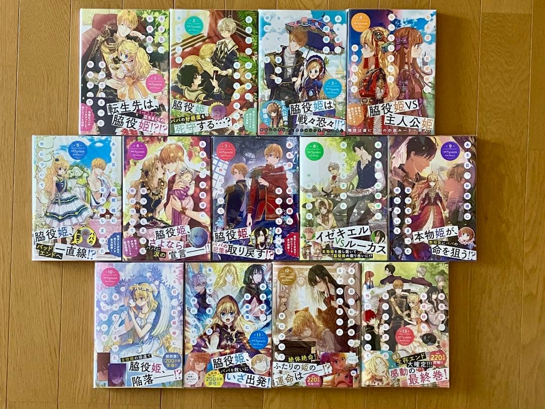 【おまけ付き】ある日、お姫様になってしまった件について 全13巻セット