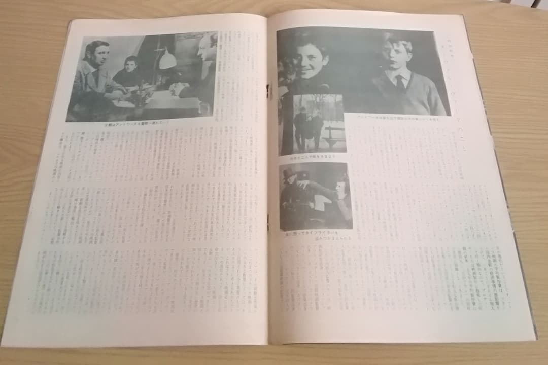 映画パンフレット　「大人は判ってくれない」※野口久光画　フランソワ・トリュフォー