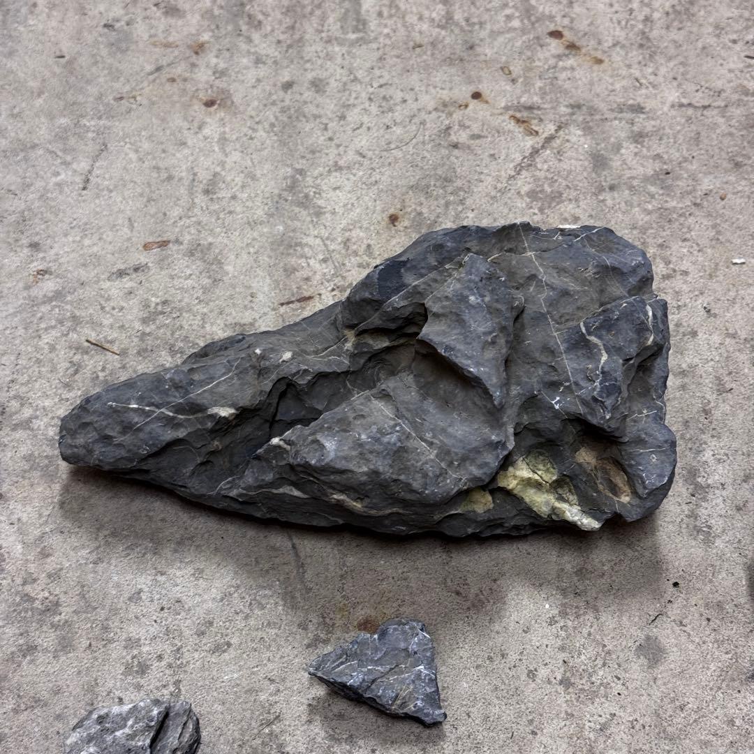 ADA龍王石 竜王石　セット　良型　1