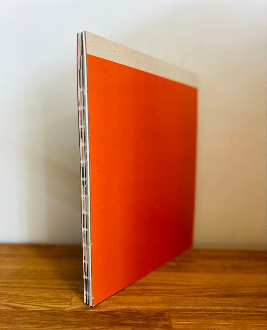 希少　美品 Pierre Schwerzmann スイス 作品集