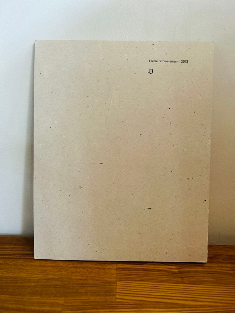 希少　美品 Pierre Schwerzmann スイス 作品集