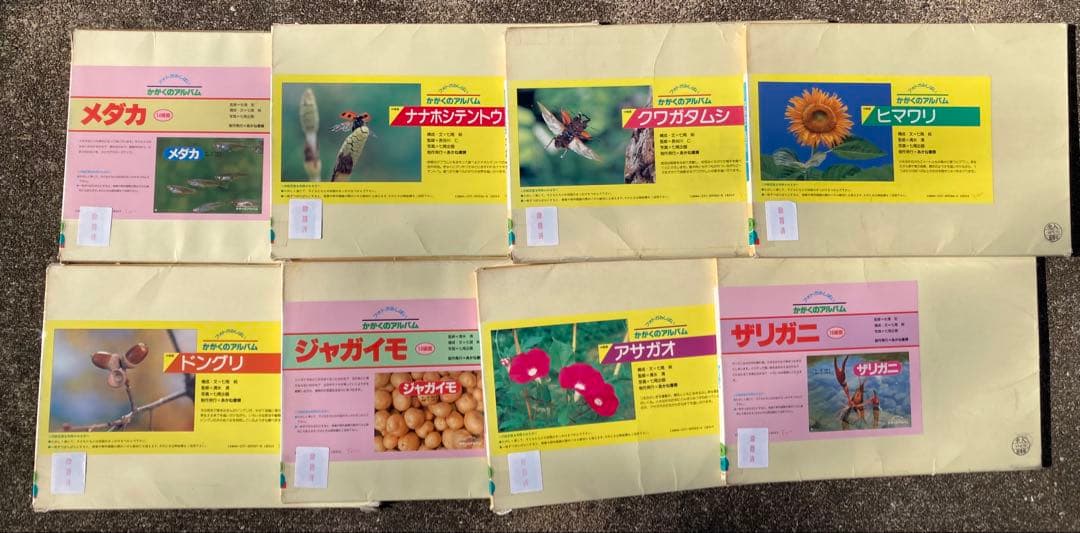 フォトかみしばい かがくのアルバム 全17巻セット あかね書房