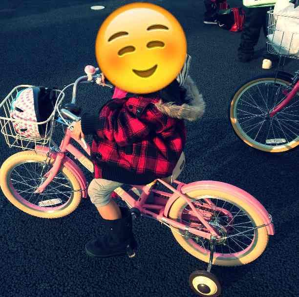 自転車本体 17inch