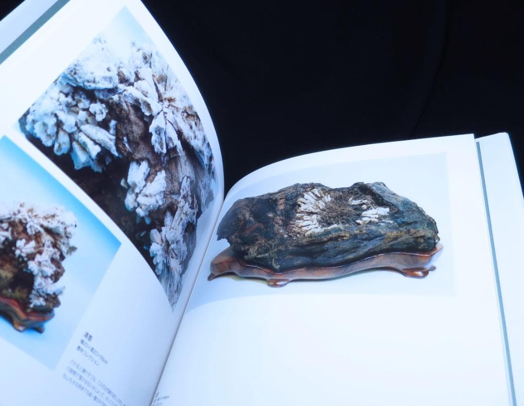 美品　菊花石の世界　石原宣夫