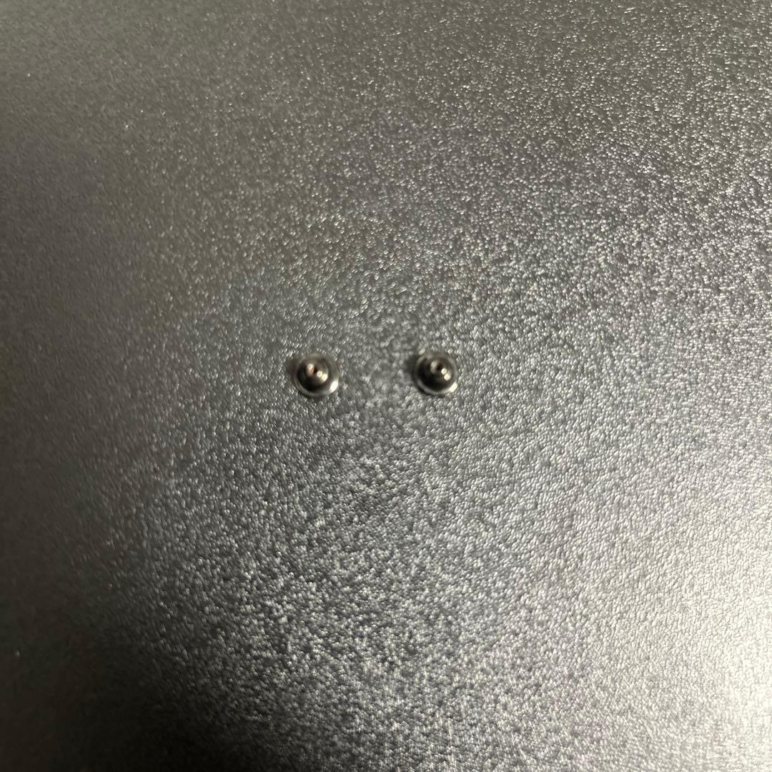 CAREERING PLACEBO 501 プラシーボピアス ブラック