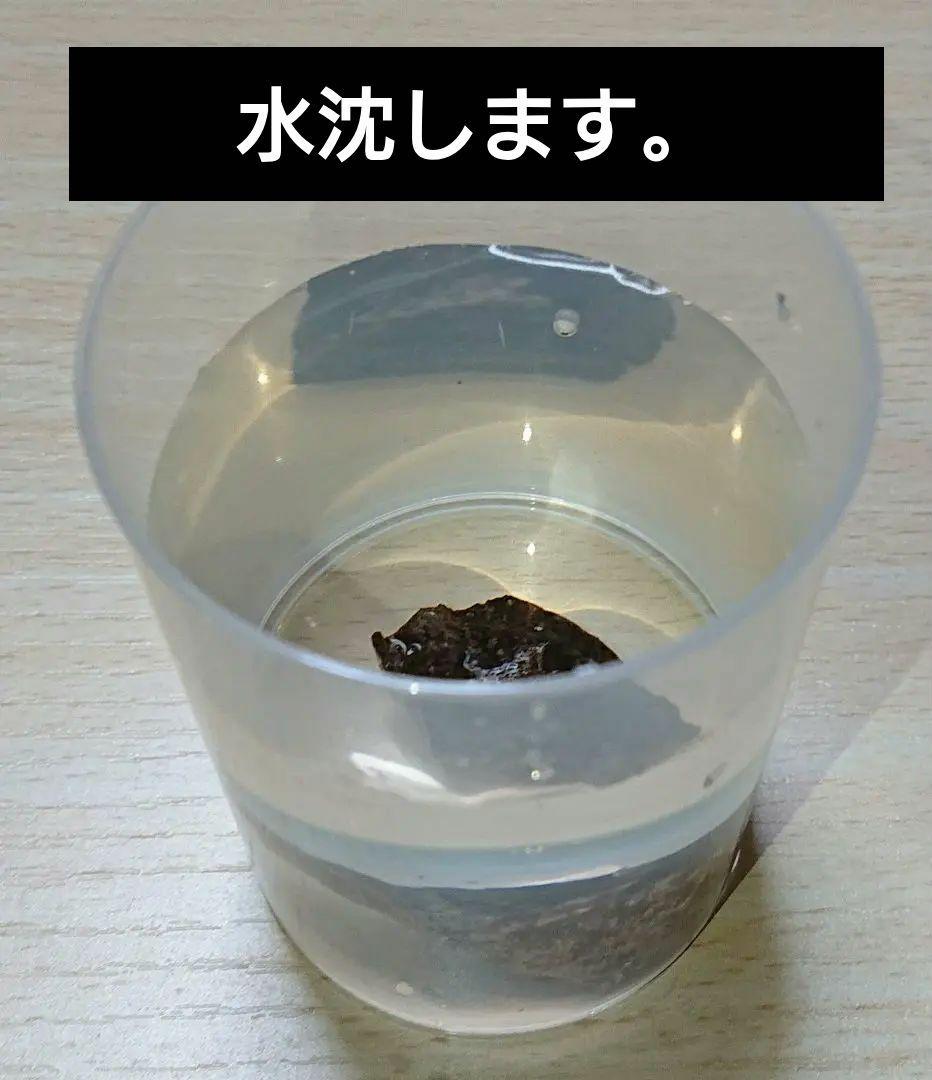 水沈没 超極上ベトナム フエ産 香木