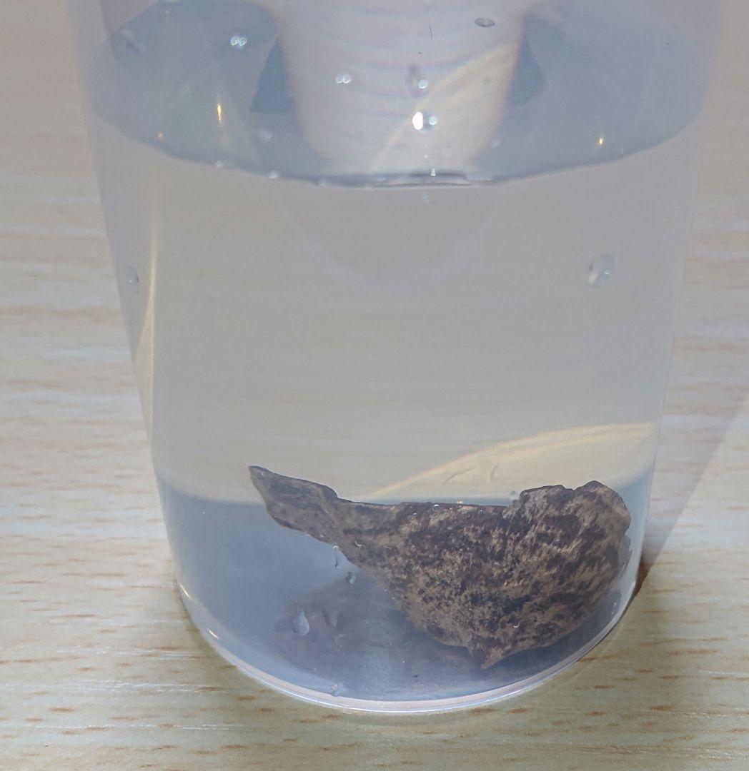 水沈没 超極上ベトナム フエ産 香木