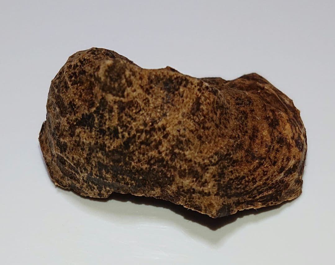 水沈没 超極上ベトナム フエ産 香木