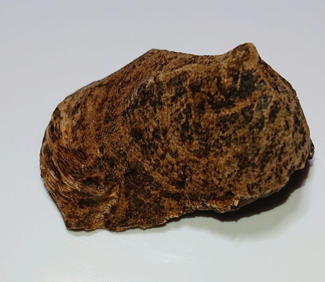 水沈没 超極上ベトナム フエ産 香木