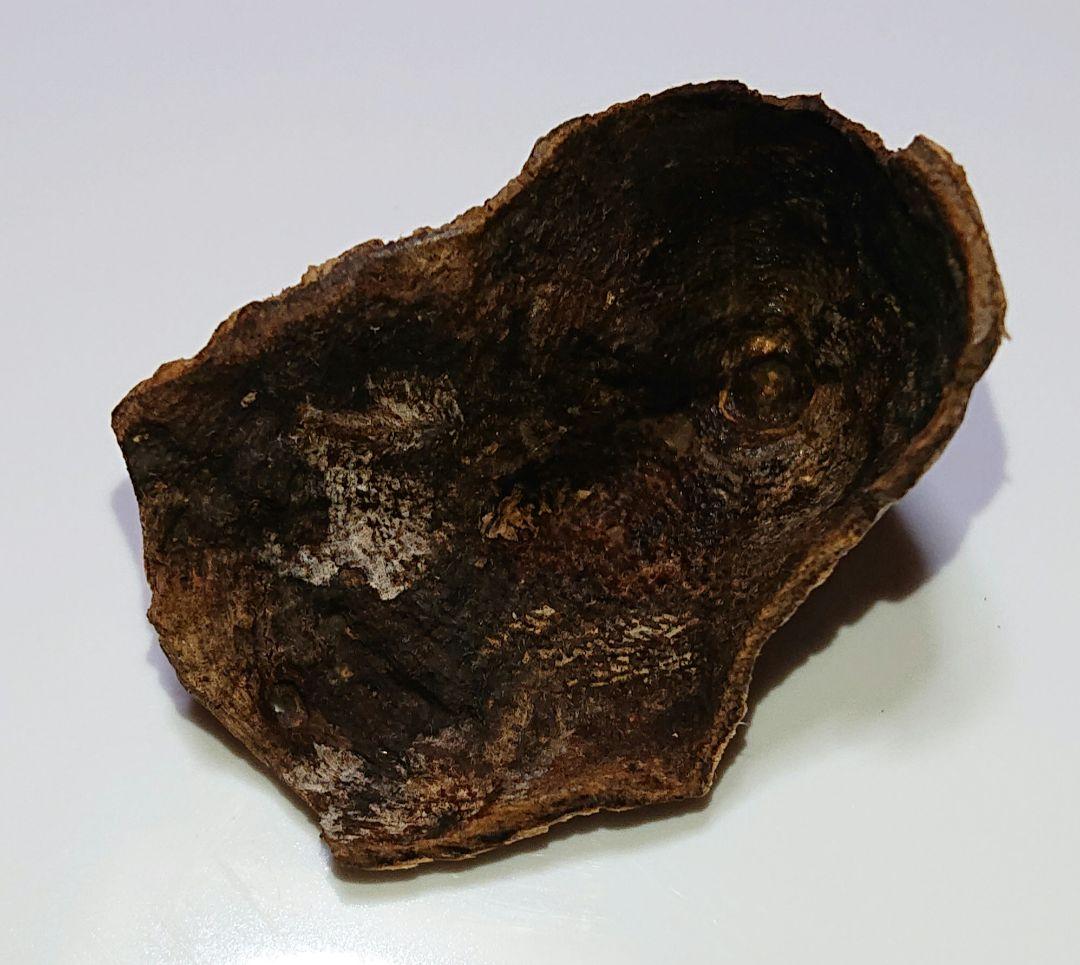 水沈没 超極上ベトナム フエ産 香木