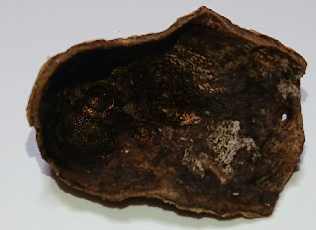 水沈没 超極上ベトナム フエ産 香木