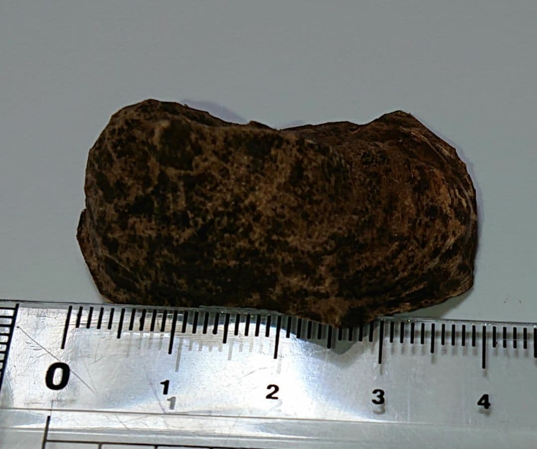 水沈没 超極上ベトナム フエ産 香木